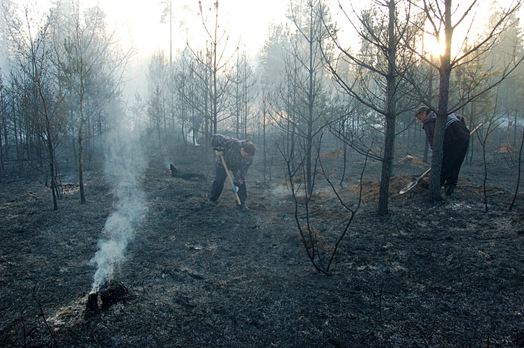 В Ибресинском районе участились лесные пожары