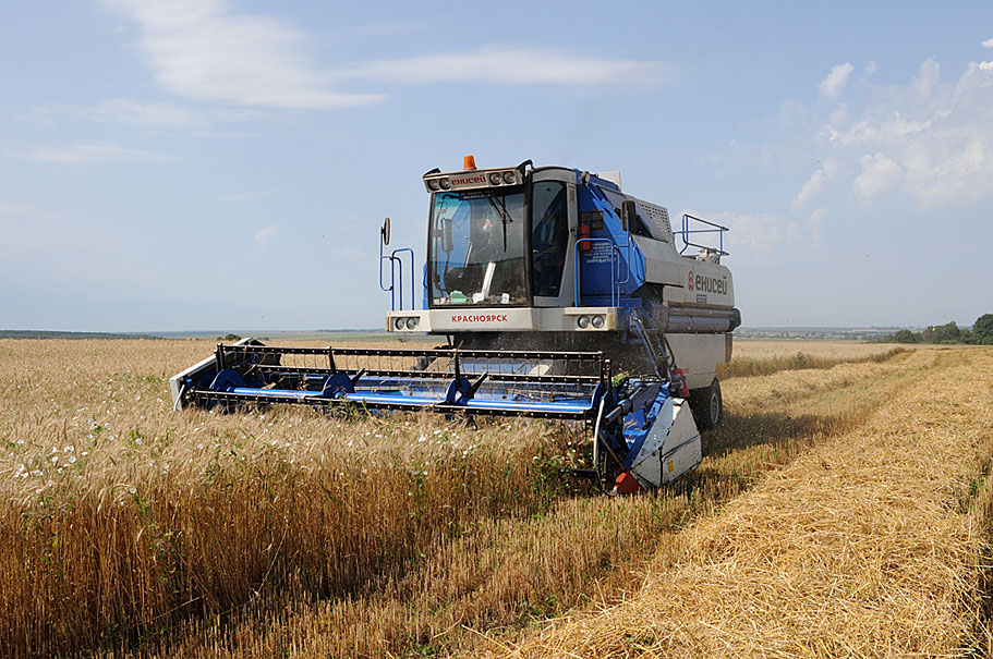 Ибресинский район: зерноуборочные работы набирают темп